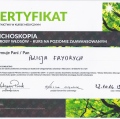 Powiększ obraz: certificate 12