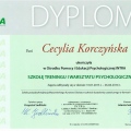 Powiększ obraz: certificate 5