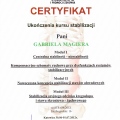 Powiększ obraz: certificate 4