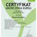 Powiększ obraz: certificate 13