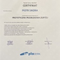 Powiększ obraz: certificate 12