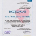 Powiększ obraz: certificate 8
