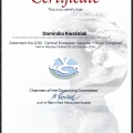 Powiększ obraz: certificate 41
