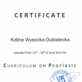 Powiększ obraz: certificate 5