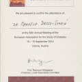 Powiększ obraz: certificate 4