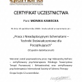 Powiększ obraz: certificate 28