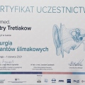 Powiększ obraz: certificate 7