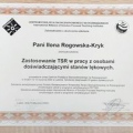 Powiększ obraz: certificate 13