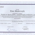 Powiększ obraz: certificate 3