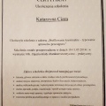 Powiększ obraz: certificate 2