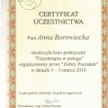Powiększ obraz: certificate 11