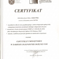 Powiększ obraz: certificate 1