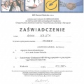 Powiększ obraz: certificate 4