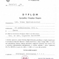 Powiększ obraz: certificate 5