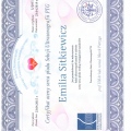 Powiększ obraz: certificate 10