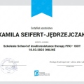 Powiększ obraz: certificate 20