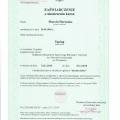 Powiększ obraz: certificate 6