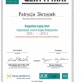 Powiększ obraz: certificate 4