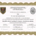 Powiększ obraz: certificate 4