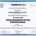 Powiększ obraz: certificate 9
