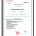 Powiększ obraz: certificate 16