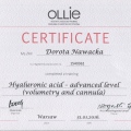 Powiększ obraz: certificate 9