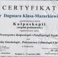 Powiększ obraz: certificate 23