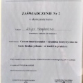 Powiększ obraz: certificate 7
