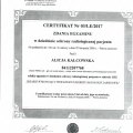 Powiększ obraz: certificate 1