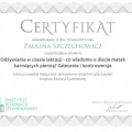 Powiększ obraz: certificate 75