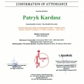 Powiększ obraz: certificate 13