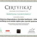 Powiększ obraz: certificate 19