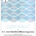 Powiększ obraz: certificate 21