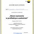 Powiększ obraz: certificate 11