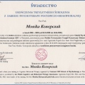 Powiększ obraz: certificate 1