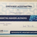 Powiększ obraz: certificate 21