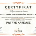 Powiększ obraz: certificate 4