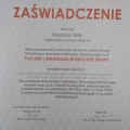 Powiększ obraz: certificate 2