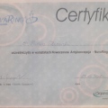 Powiększ obraz: certificate 12