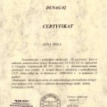 Powiększ obraz: certificate 11