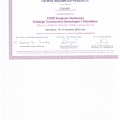Powiększ obraz: certificate 19
