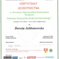 Powiększ obraz: certificate 6