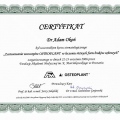 Powiększ obraz: certificate 3