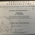 Powiększ obraz: certificate 32