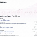 Powiększ obraz: certificate 13