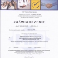 Powiększ obraz: certificate 9