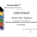 Powiększ obraz: certificate 9