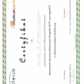 Powiększ obraz: certificate 2