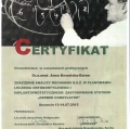 Powiększ obraz: certificate 12