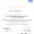 Powiększ obraz: certificate 8